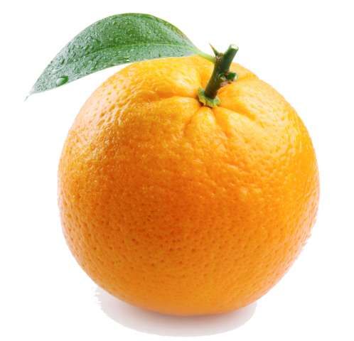 thumb-orange-640x480-orange.jpg